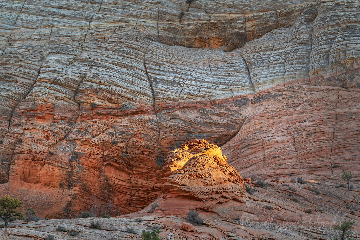 Checkerboard Mesa Zion National Park #76994