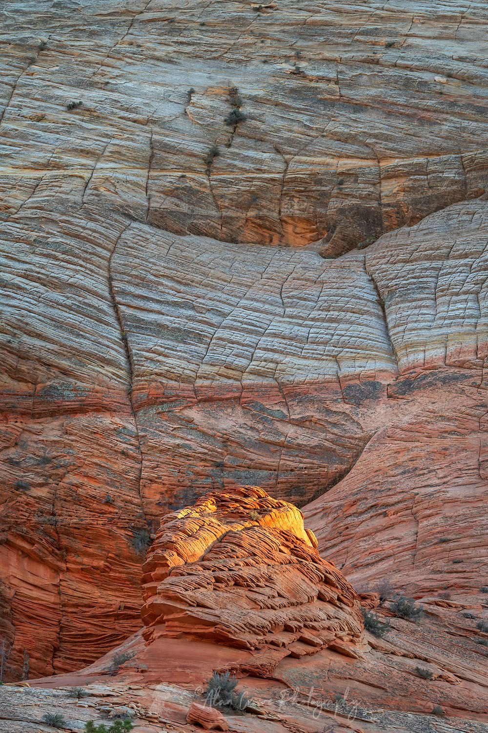 Checkerboard Mesa Zion National Park #76996