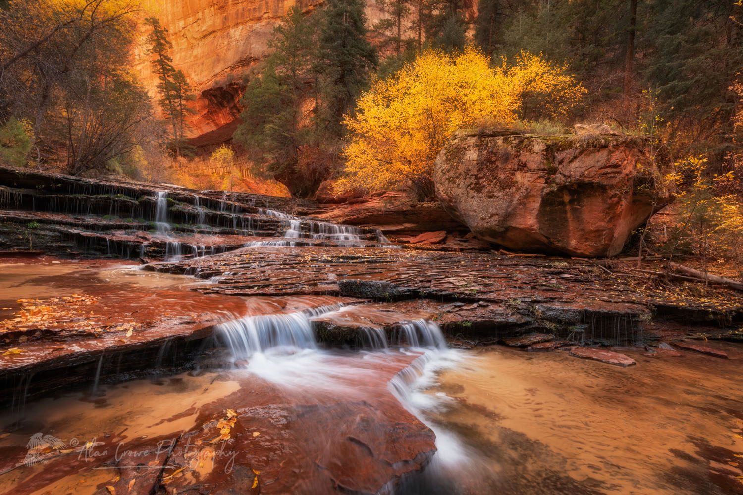 Archangel Falls on Left Fork North Creek, Zion National Park #76754or