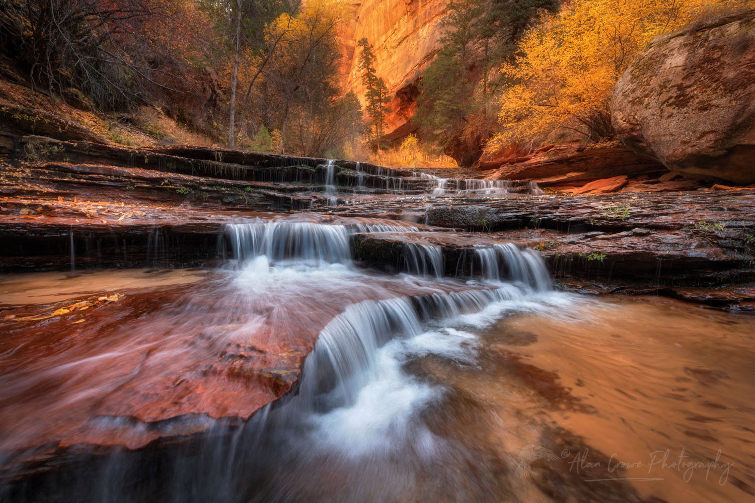 Archangel Falls on Left Fork North Creek, Zion National Park #76762or