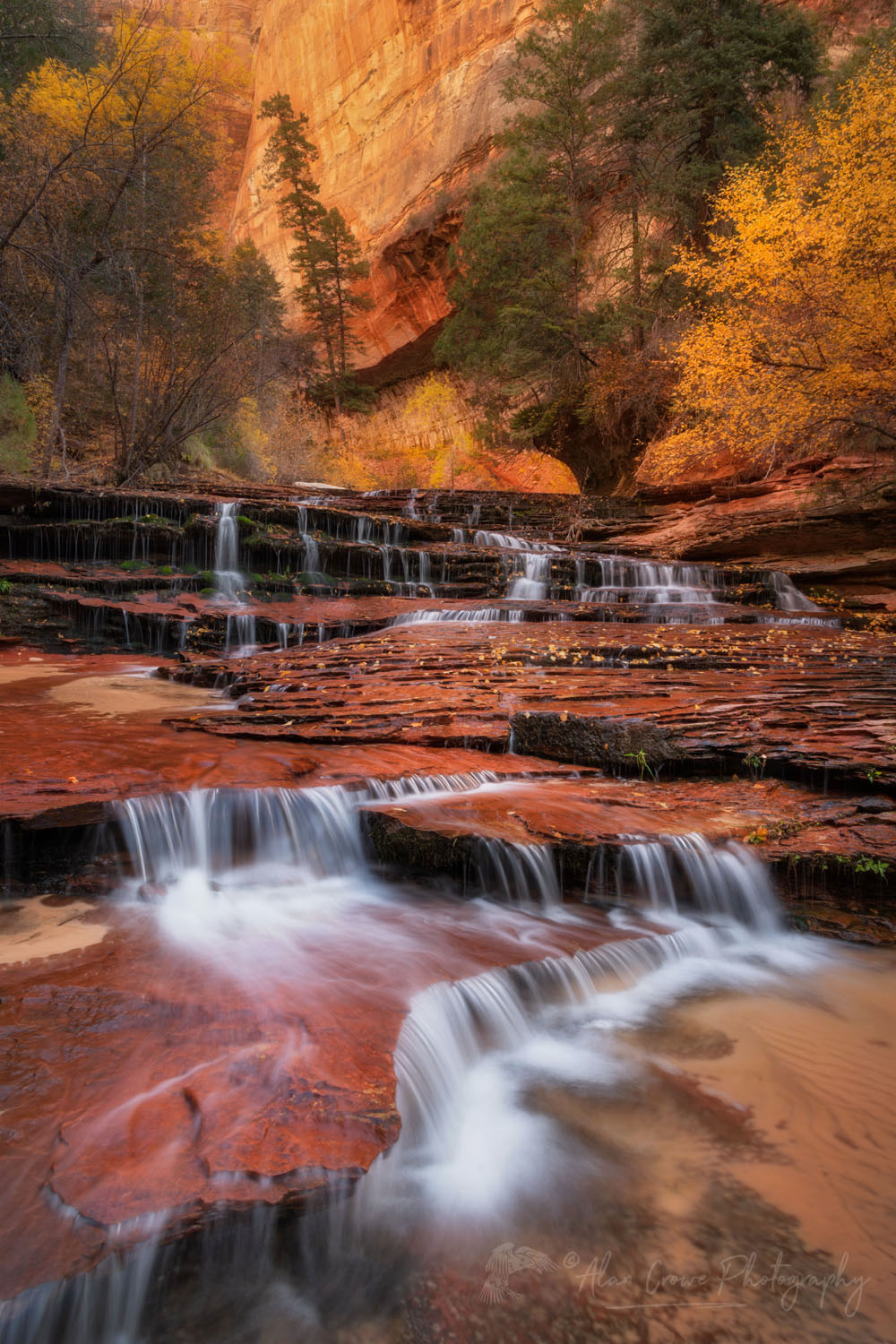 Archangel Falls on Left Fork North Creek, Zion National Park #76776or