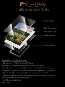 TruLife Lumachrome Acrylic Fine Art Print