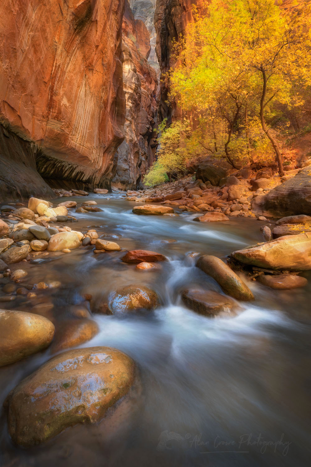 Fall color in Zion Canyon Narrows Zion National Park Utah #76932or