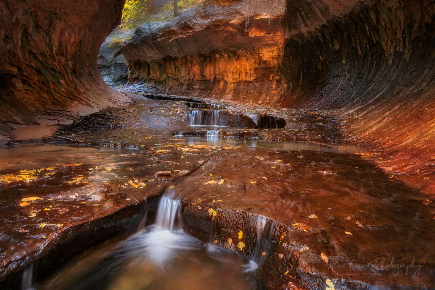 The Subway, Left Fork North Creek, Zion National Park Utah #76810or