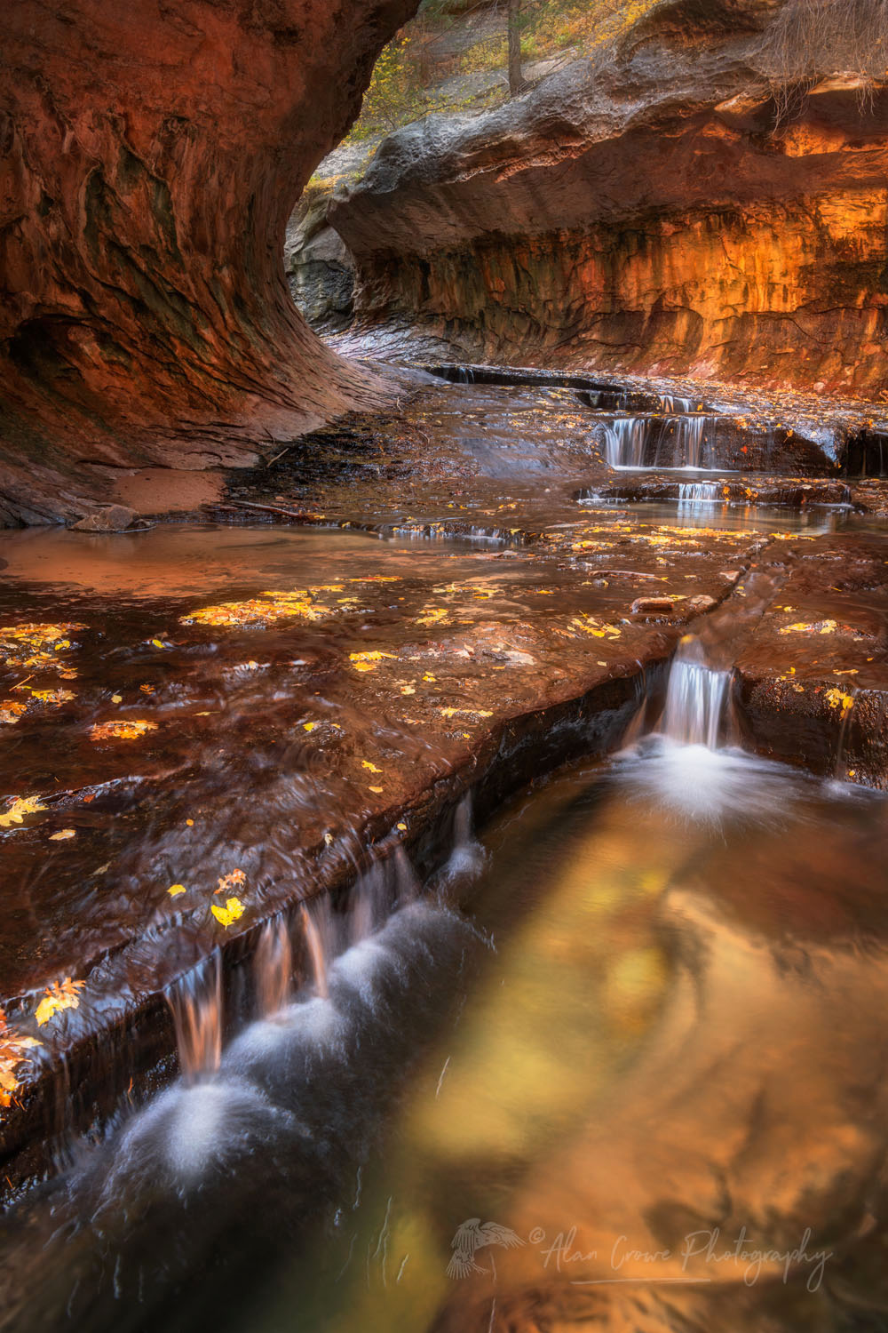 The Subway, Left Fork North Creek, Zion National Park Utah #76813or