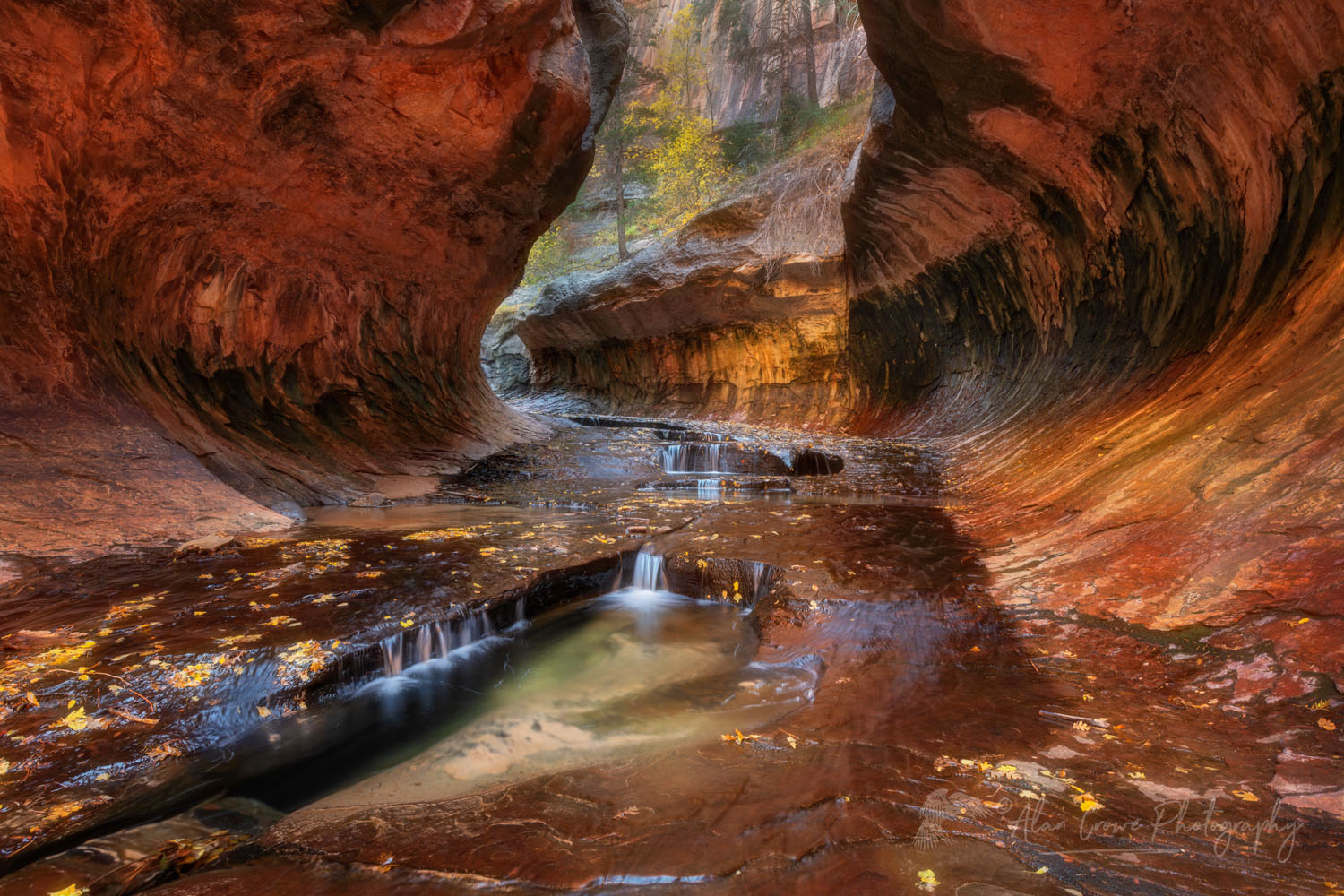 The Subway, Left Fork North Creek, Zion National Park Utah #76841or