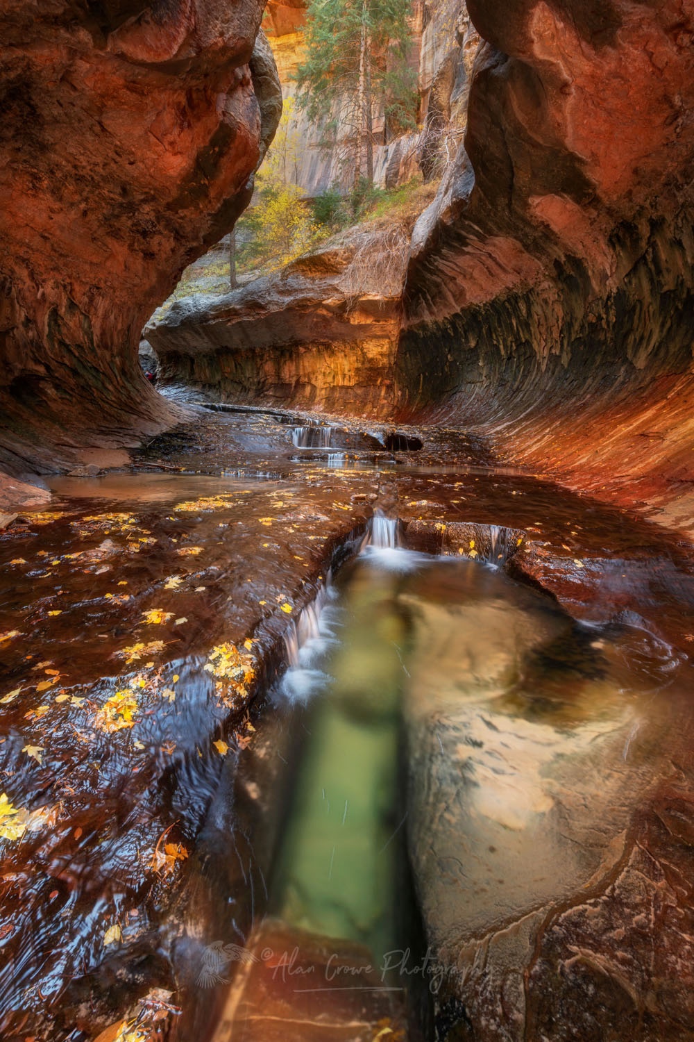 The Subway, Left Fork North Creek, Zion National Park Utah #76842or
