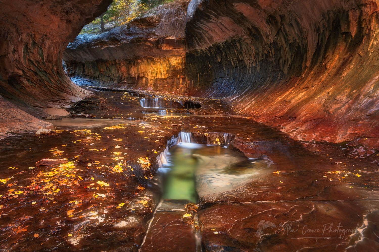 The Subway, Left Fork North Creek, Zion National Park Utah #76884or