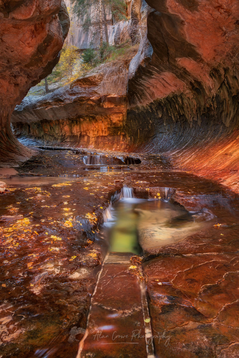 The Subway, Left Fork North Creek, Zion National Park Utah #76887or