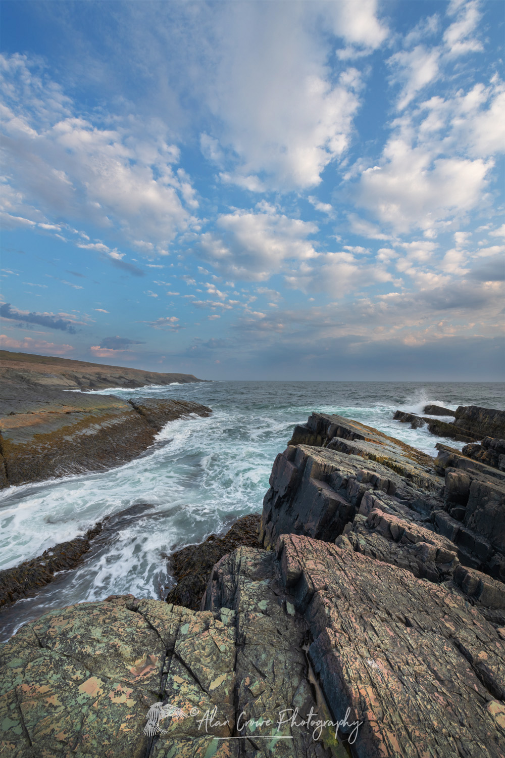 Daleys Point on the southern Avalon Peninsula. Part of the Mistaken Point Ecological Reserve and UNESCO World Heritage Site. Newfoundland and Labrador, Canada #80689