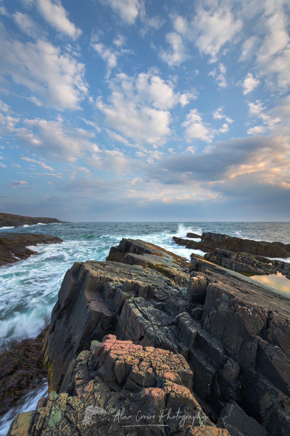 Daleys Point on the southern Avalon Peninsula. Part of the Mistaken Point Ecological Reserve and UNESCO World Heritage Site. Newfoundland and Labrador, Canada #80695