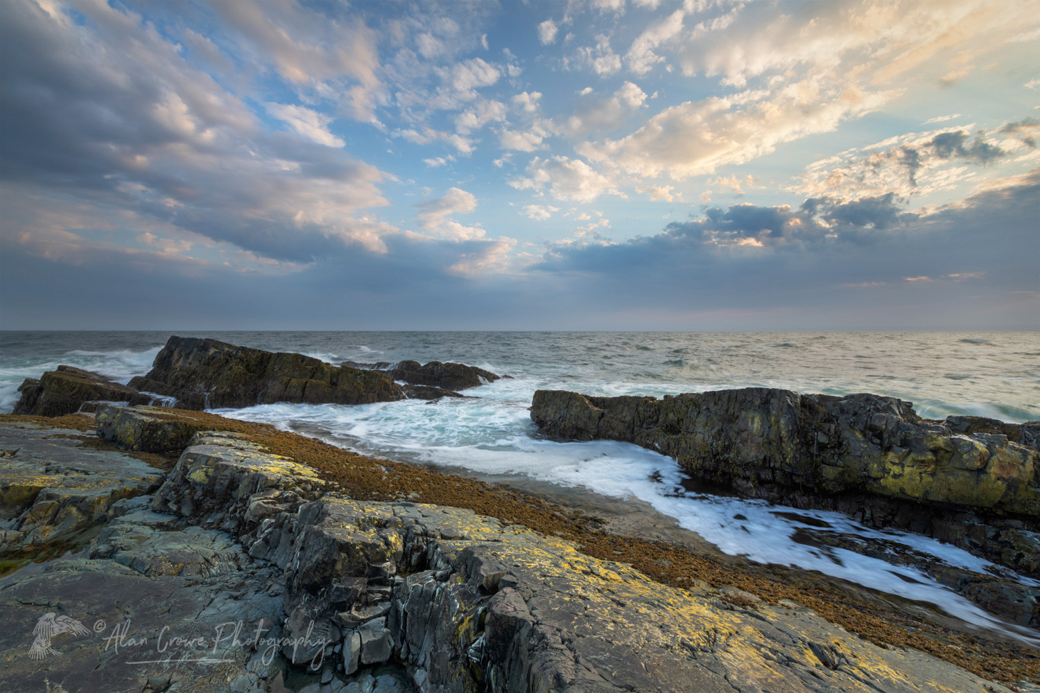 Daleys Point on the southern Avalon Peninsula. Part of the Mistaken Point Ecological Reserve and UNESCO World Heritage Site. Newfoundland and Labrador, Canada #80701