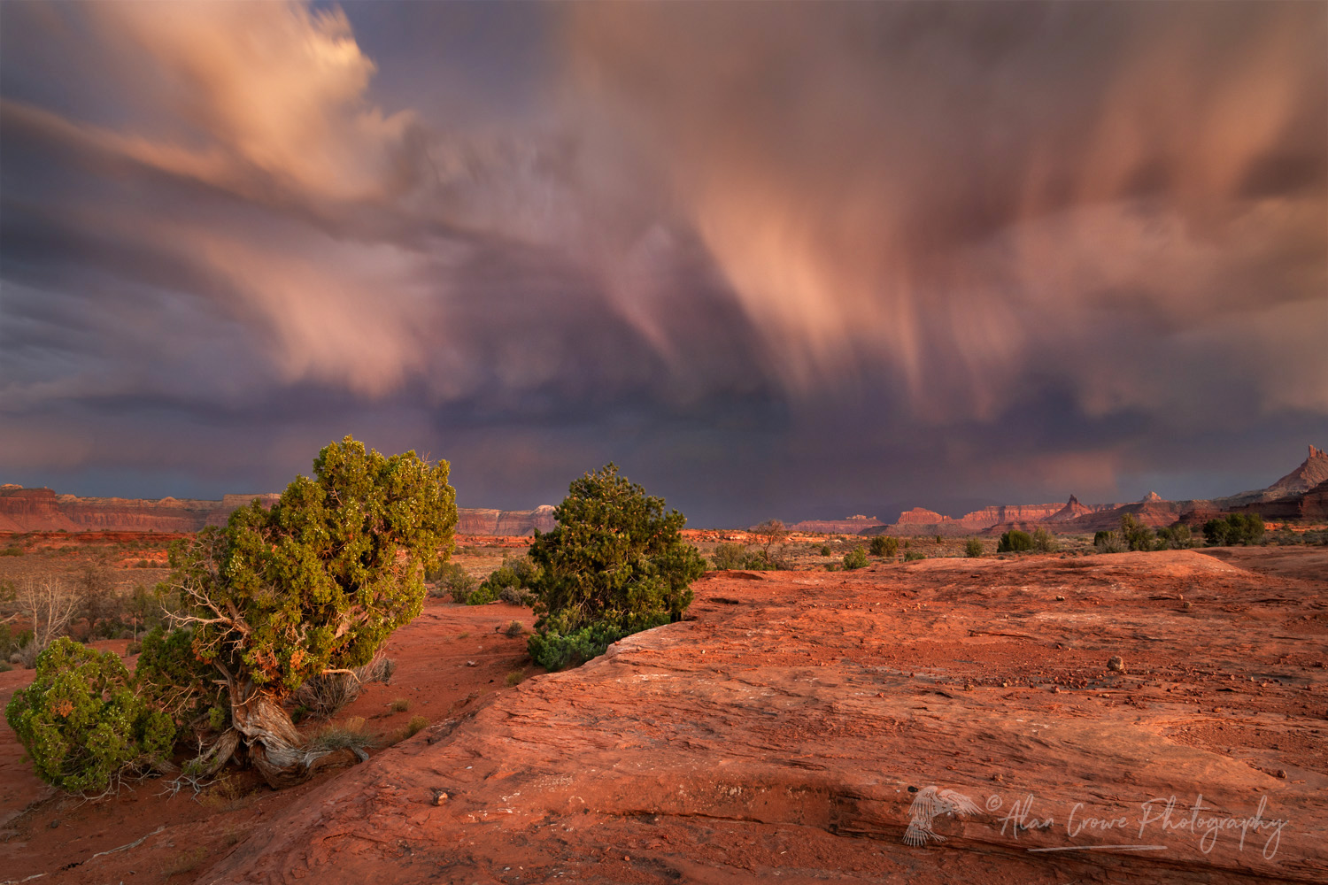 Evening storm over Bears Ears National Monument, Utah #85399