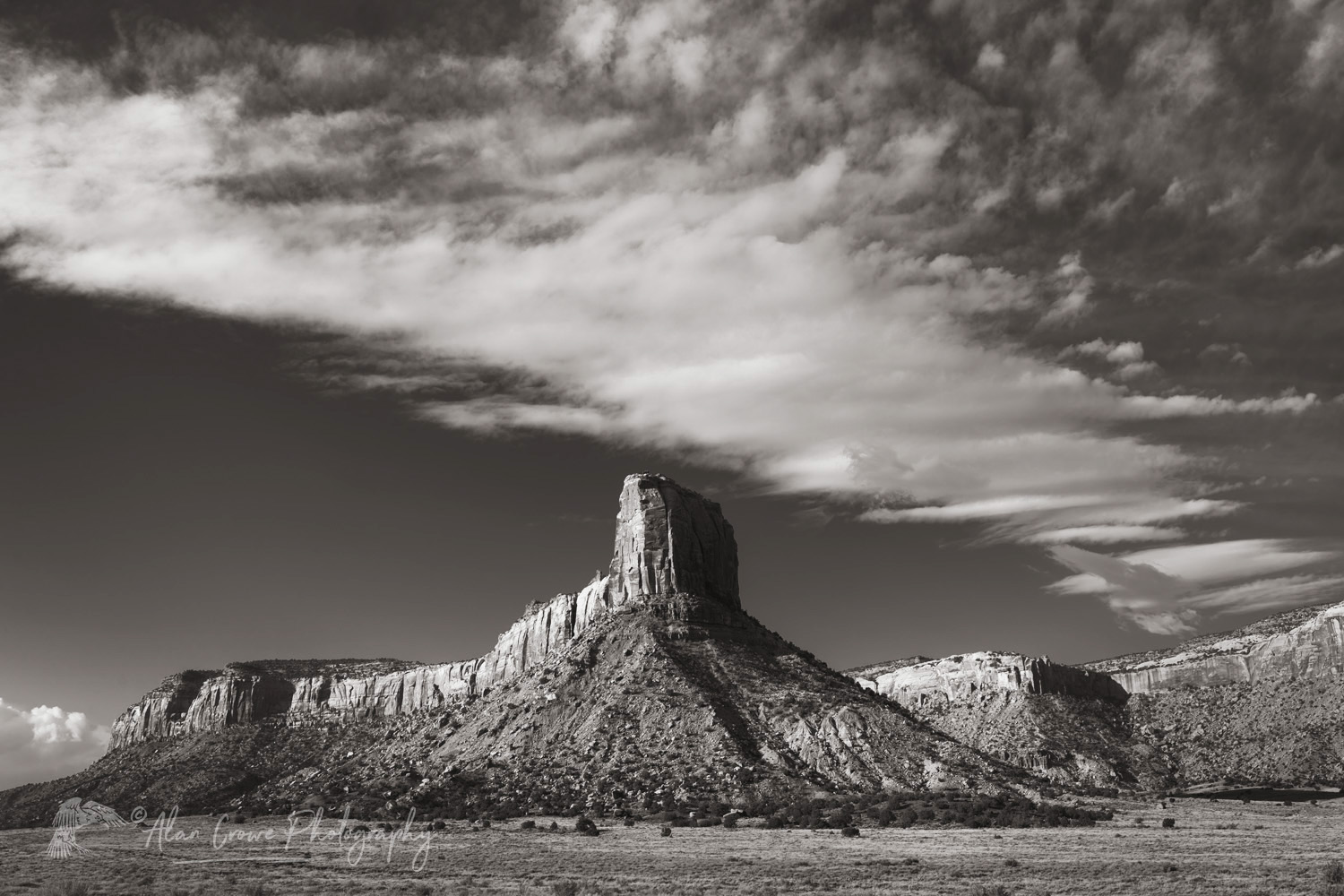 Cottonwood Creek Valley, Bears Ears National Monument Utah #85417bw