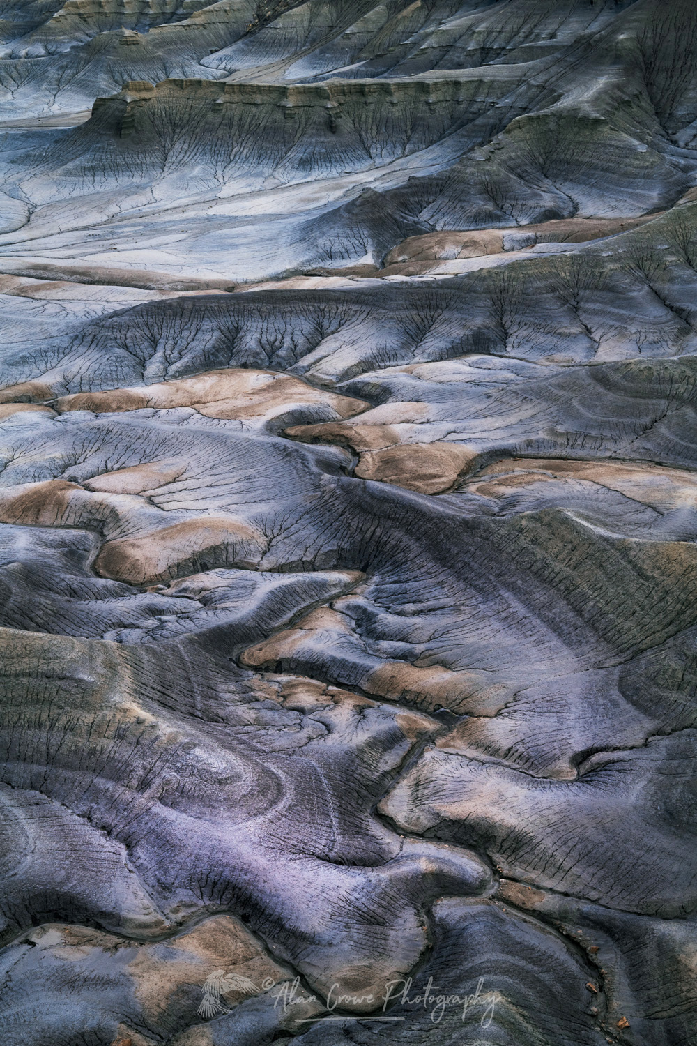 Dramatic view of the Upper Blue Hills Badlands from Skyline Rim. Caineville Desert, Utah #84906