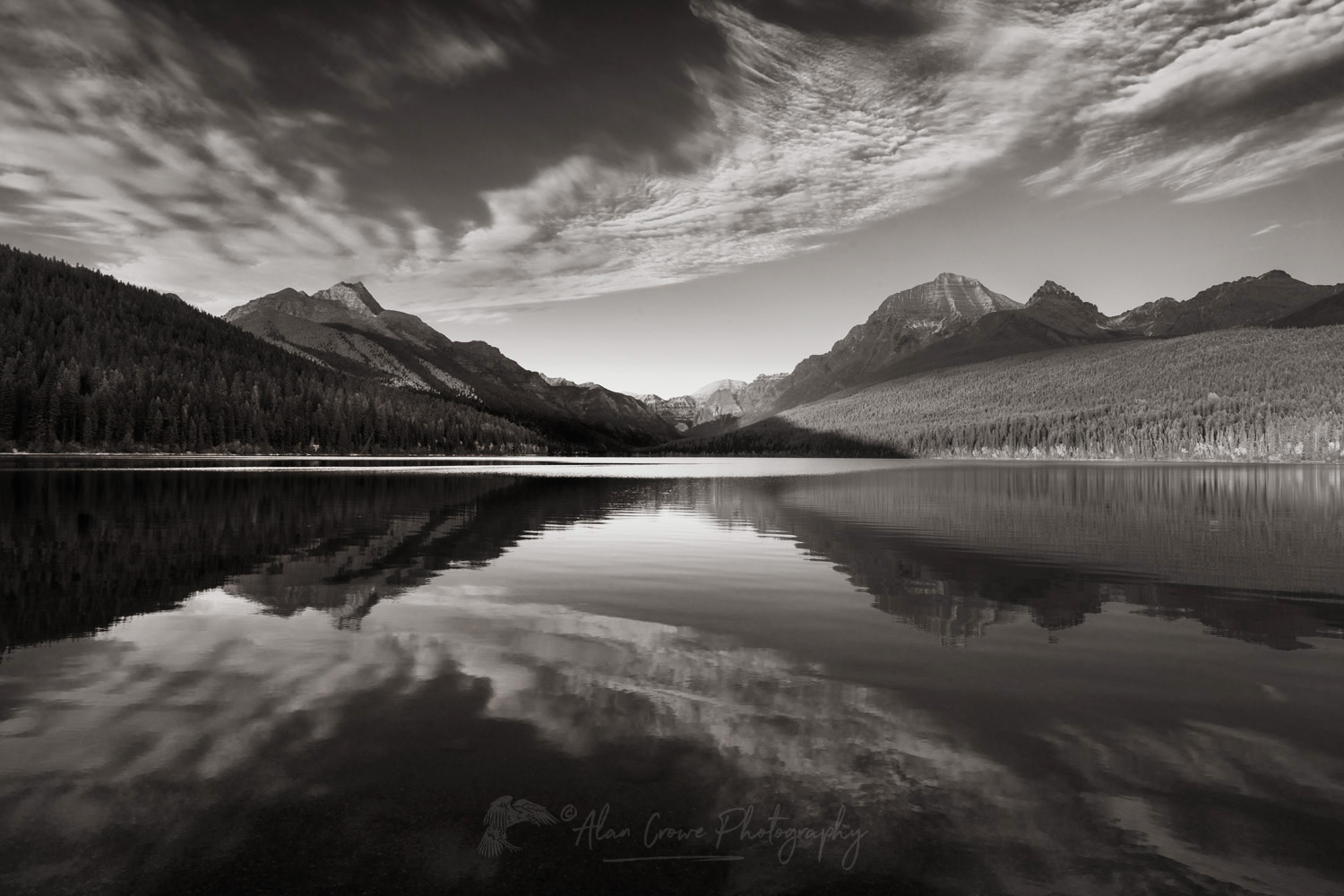 Bowman Lake Glacier National Park Montana #87414bw