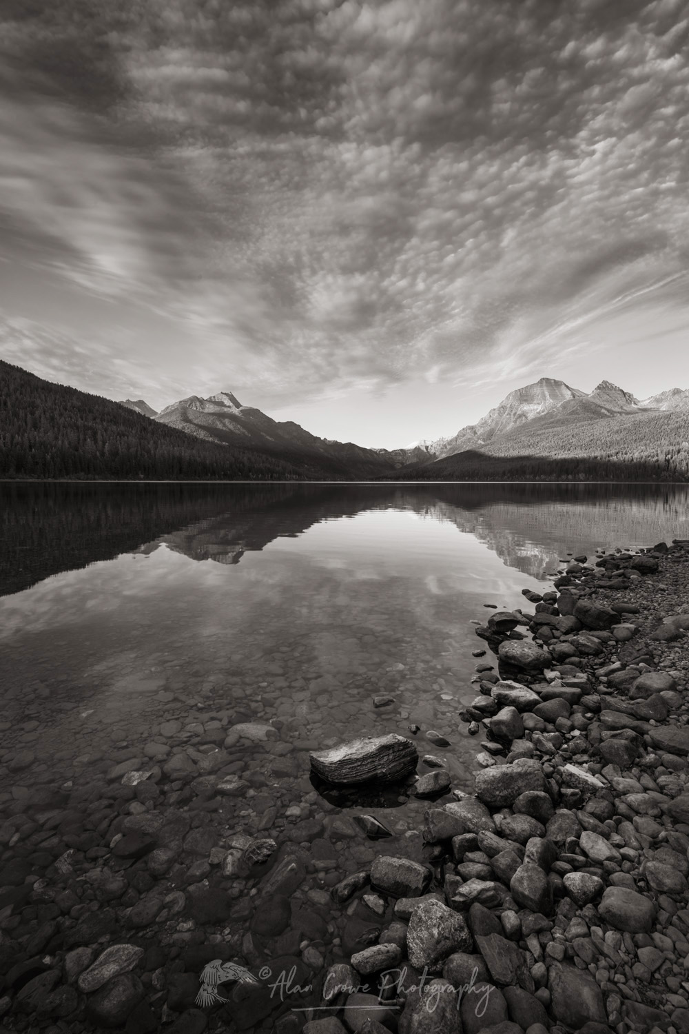 Bowman Lake, Numa Peak (L) and Rainbow Peak in the distance. Glacier National Park Montana #87249bw