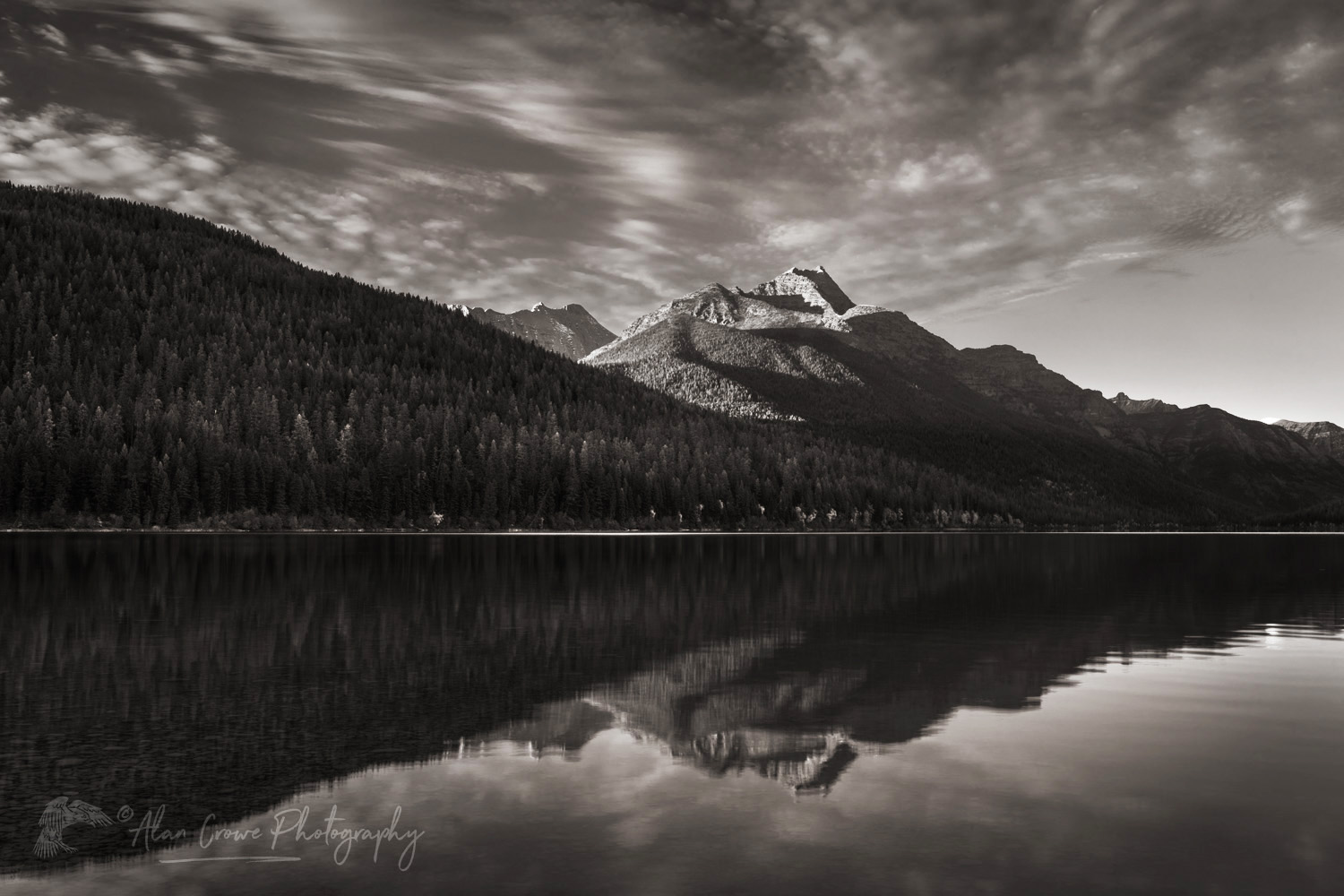 Bowman Lake, Numa Peak (L) and Rainbow Peak in the distance. Glacier National Park Montana #87435bw