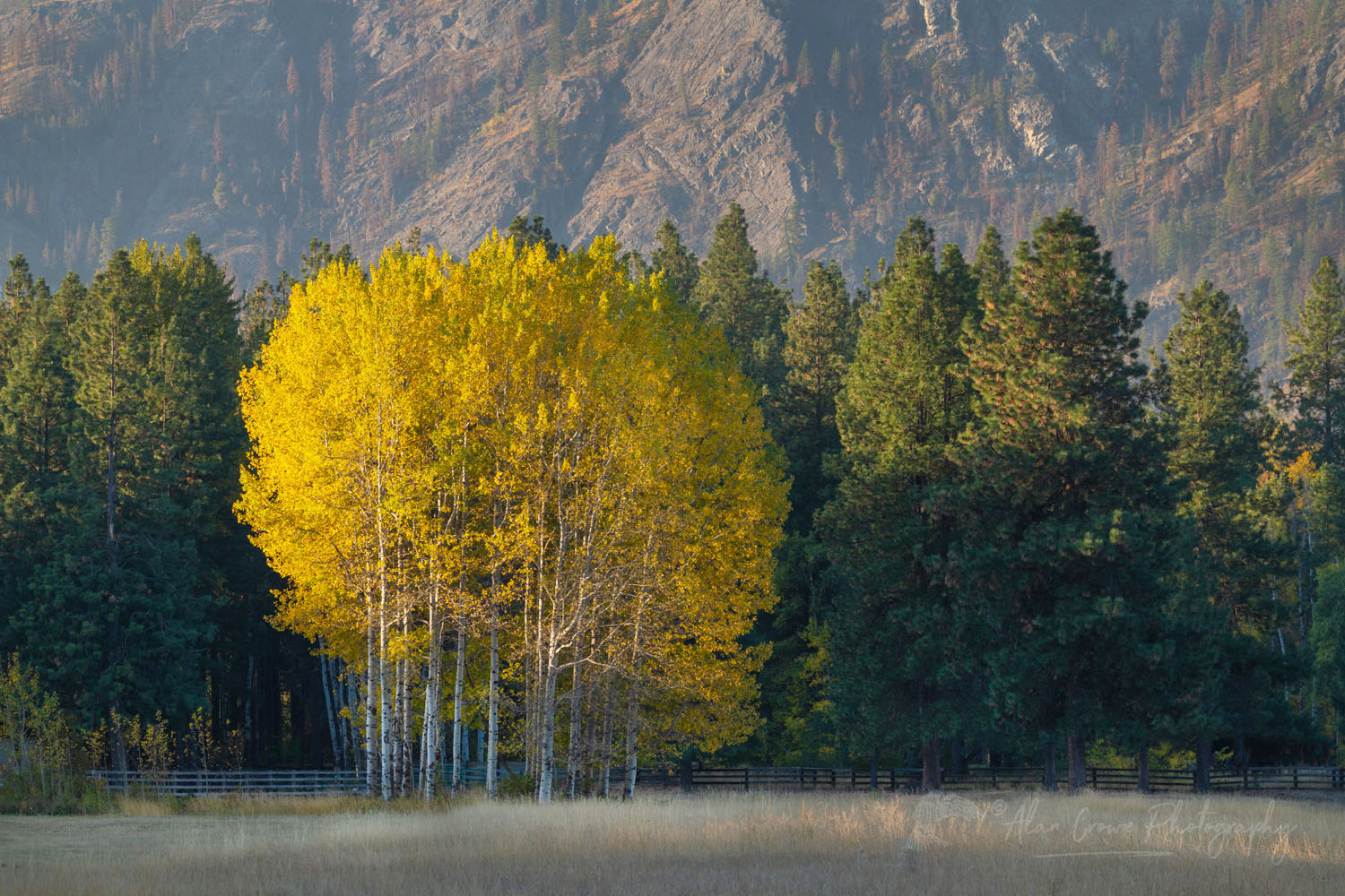 Fall foliage along the Methow River near Mazama Washington #78753