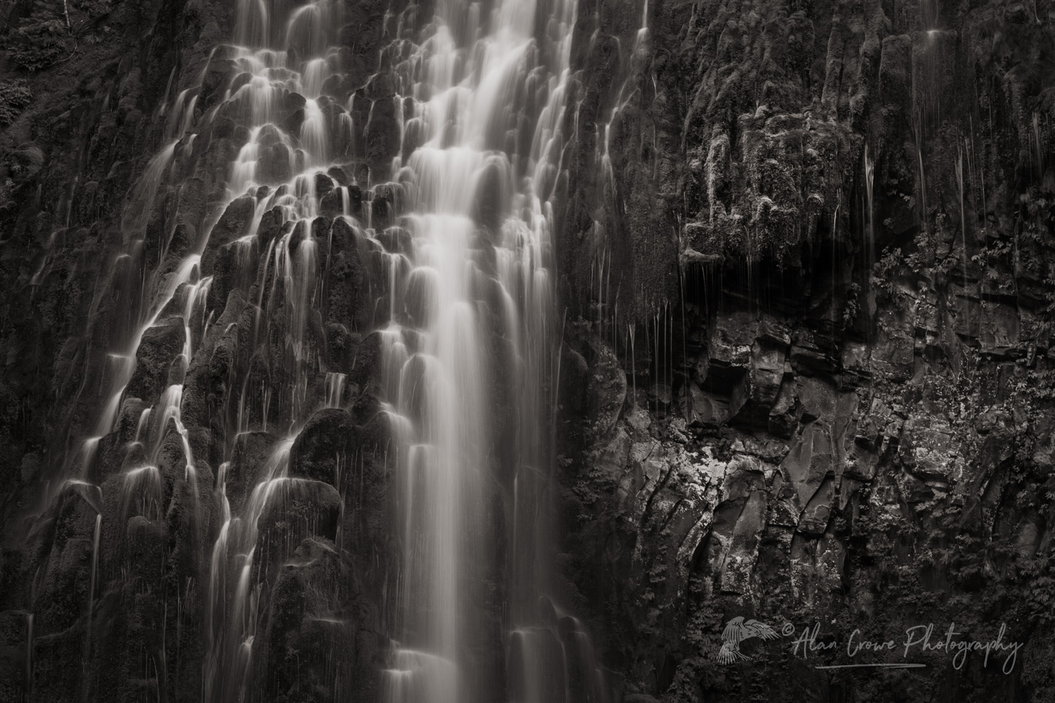 Proxy Falls Oregon Willamette National Forest, Oregon #84268bw