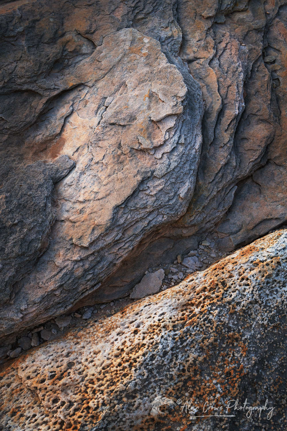 Close-up of patterns in sandstone. Glen Canyon National Recreation Area, Utah #85088b