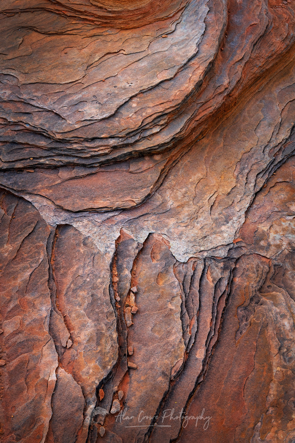 Close-up of patterns in sandstone. Glen Canyon National Recreation Area, Utah #85111