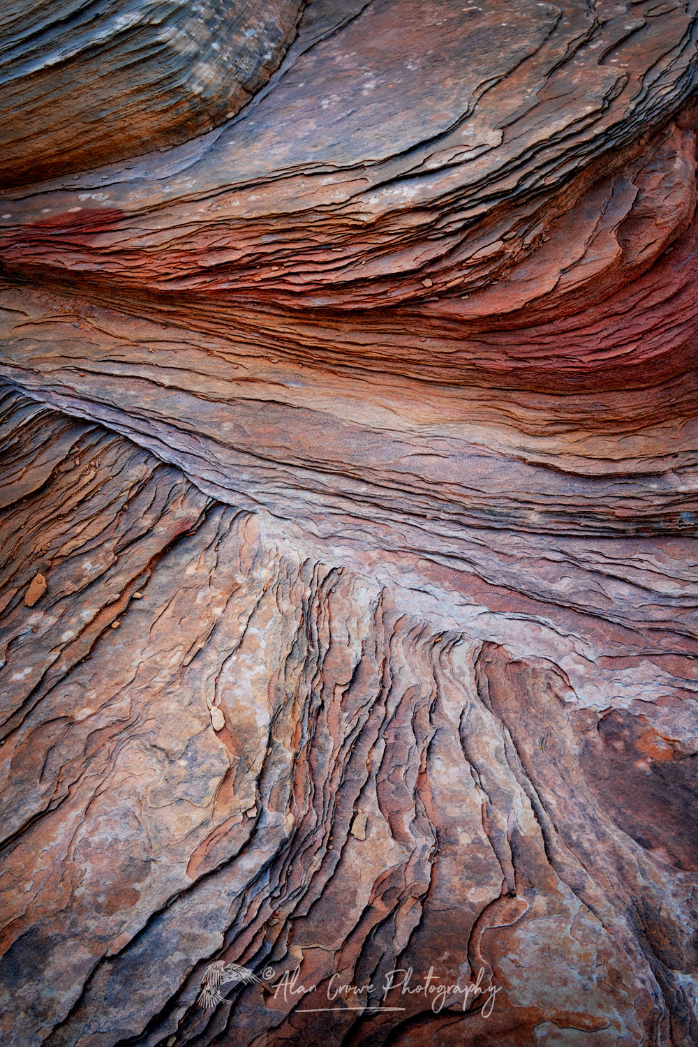 Close-up of patterns in sandstone. Glen Canyon National Recreation Area, Utah #85114