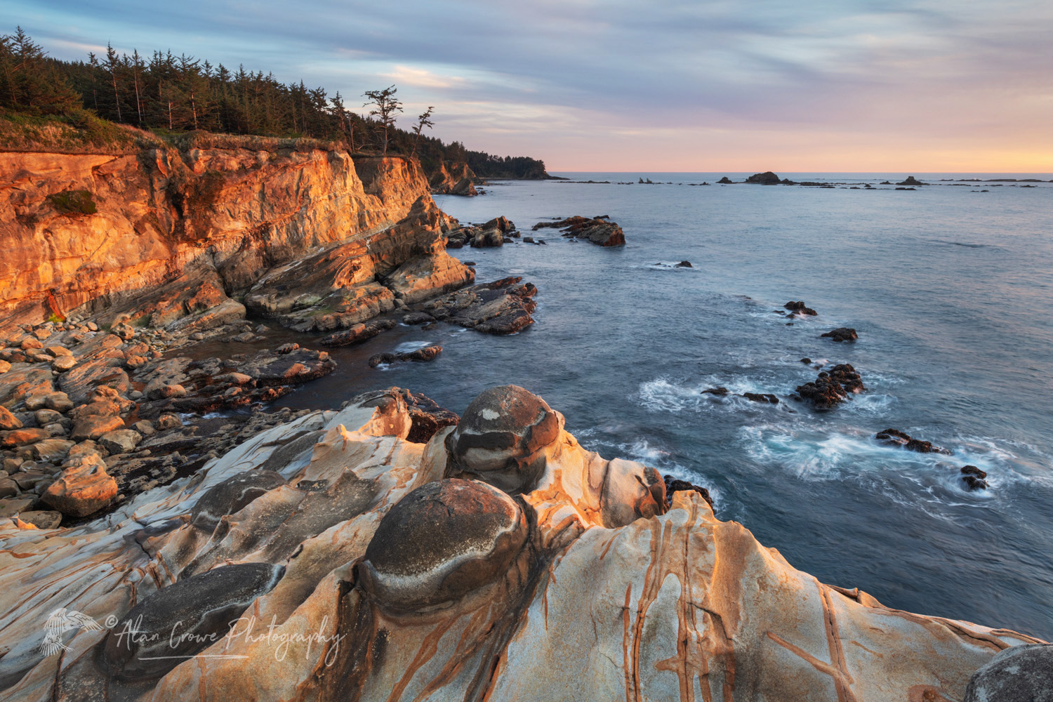 Mineral concretions on cliffs of Shore Acres State Park Oregon #83015
