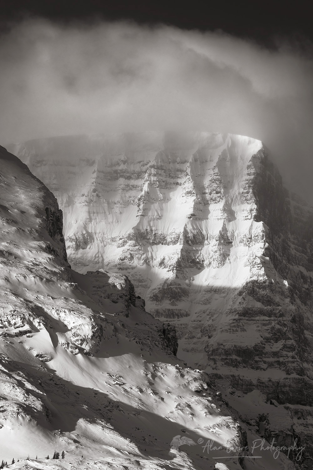 Snow Dome in winter. Seen from Icefields Parkway. Jasper National Park Alberta, Canada #82220bw