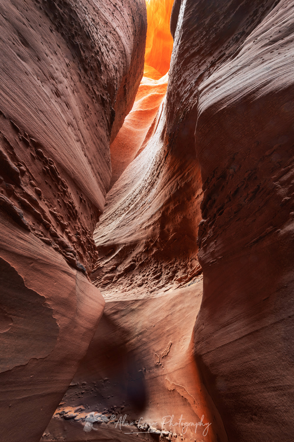Spooky Gulch Slot Canyon. Grand Staircase-Escalante National Monument #84714