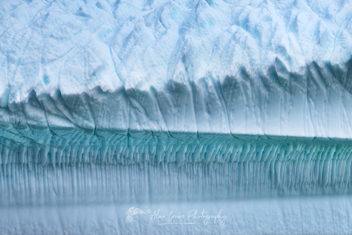 Iceberg in Spiller's Cove Newfoundland and Labrador Canada #79819