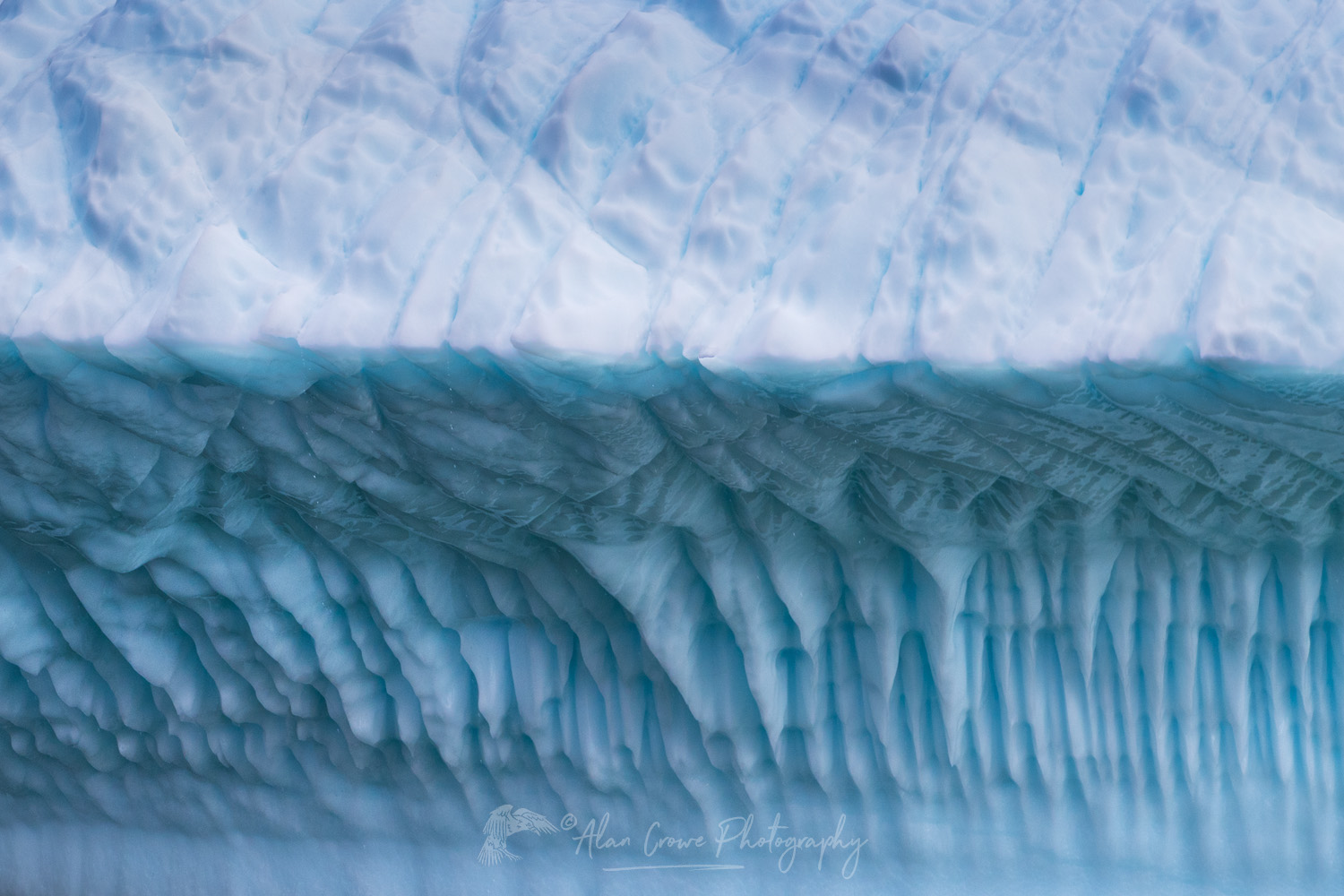 Iceberg in Spiller's Cove Newfoundland and Labrador Canada #79820
