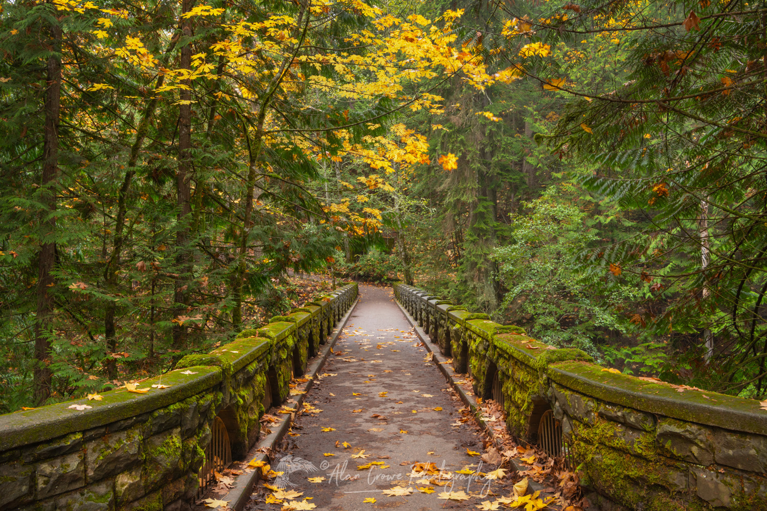 Stone Bridge over Whatcom Falls. Whatcom Falls City Park. Bellingham, Washington #81794