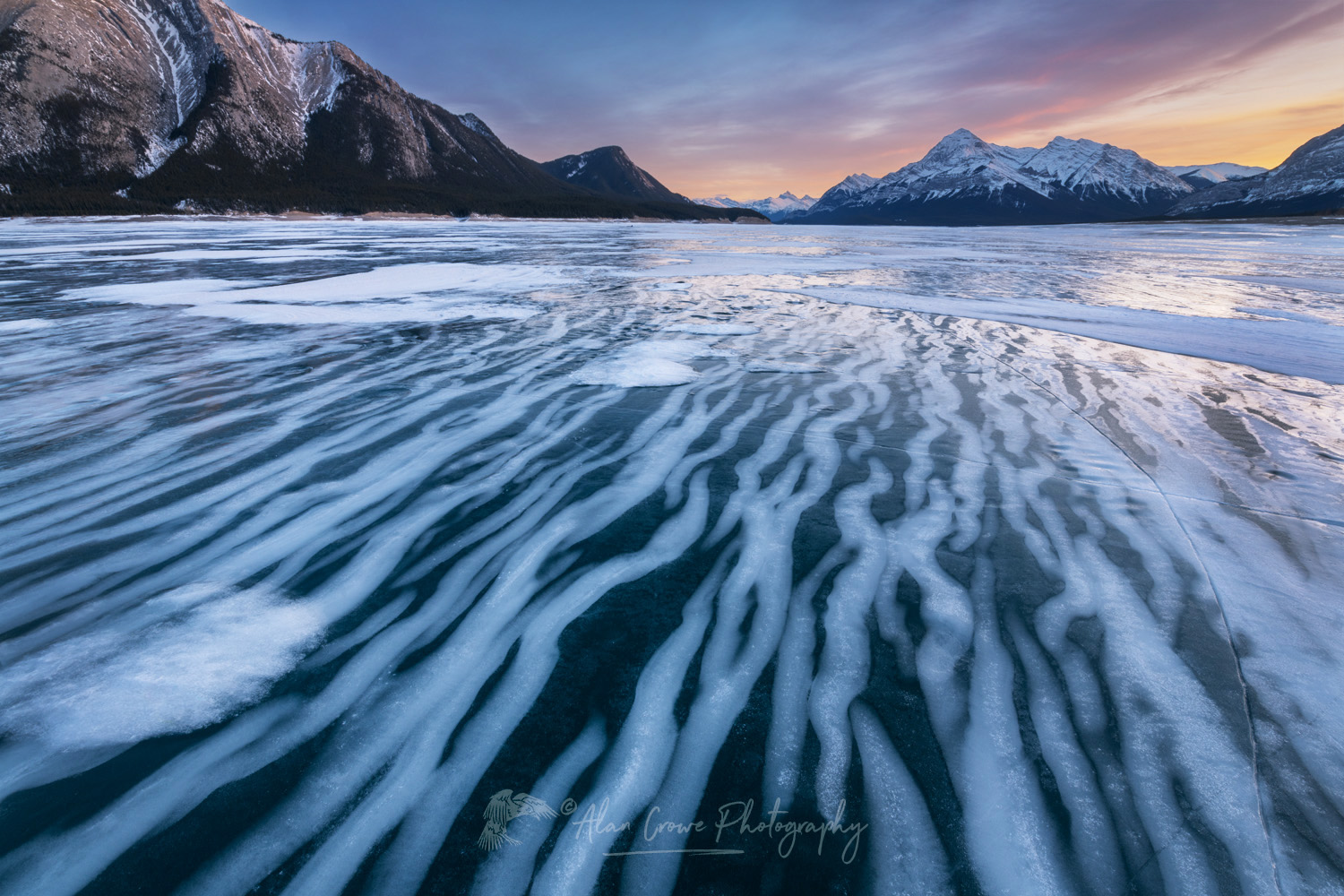 Striped patterns of snow frozen in the surface of Abraham Lake Alberta Canada #82380b