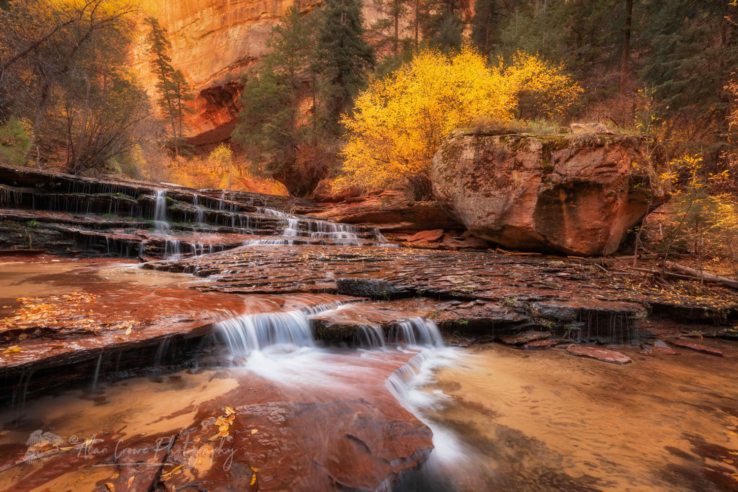 Archangel Falls on Left Fork North Creek, Zion National Park #76754or