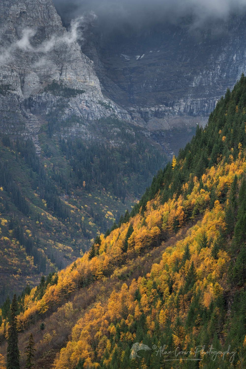 Autumn foliage along Going To The Sunn Road, Glacier National Park #87336