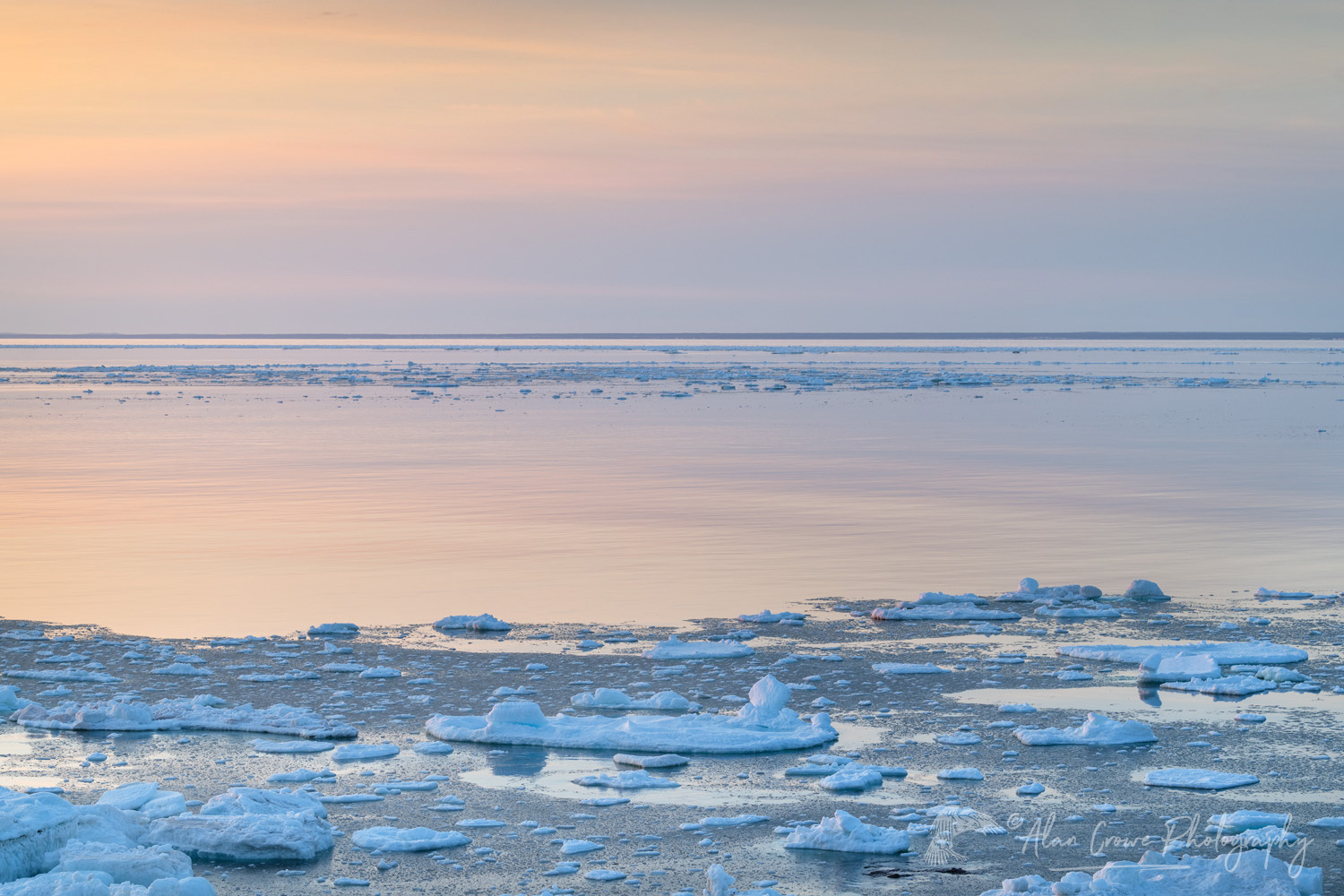 Pack ice in the Strait of Belle Isle along the south coast of Labrador. Newfoundland and Labrador, Canada #80320