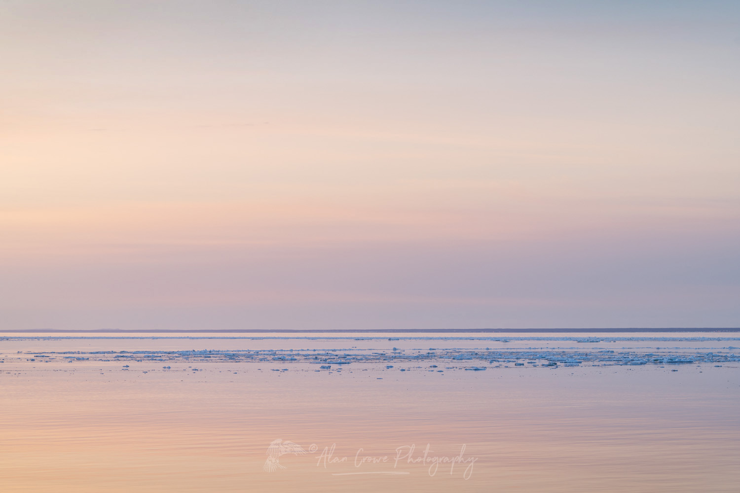 Pack ice in the Strait of Belle Isle along the south coast of Labrador. Newfoundland and Labrador, Canada #80324