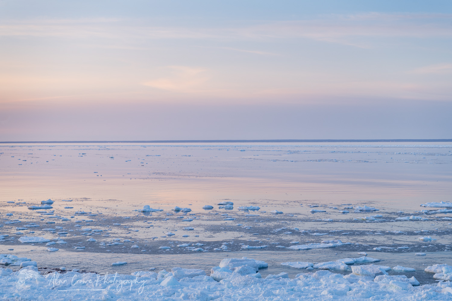 Pack ice in the Strait of Belle Isle along the south coast of Labrador. Newfoundland and Labrador, Canada #80328