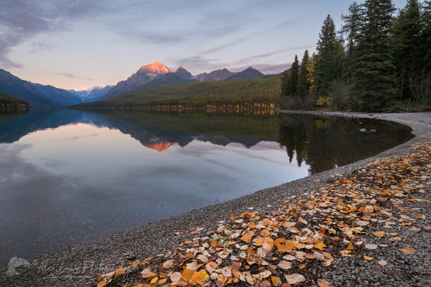 Bowman Lake and Rainbow Peak, Glacier National Park Montana #87461