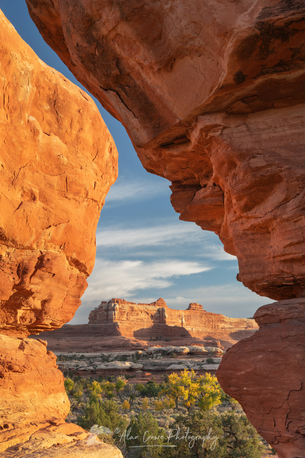 Wooden Shoe Arch Overlook, Needles District, Canyonlands National Park, Utah #85342
