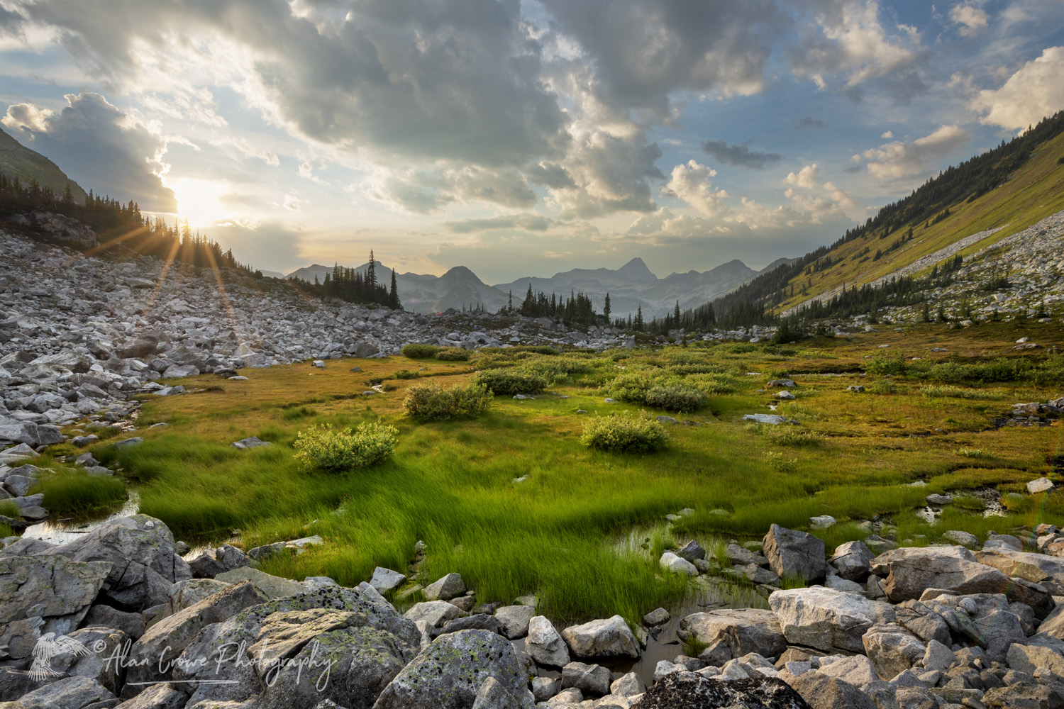 Dramatic clouds over alpine meadows below Mount Rohr. Coast Range, British Columbia #87132