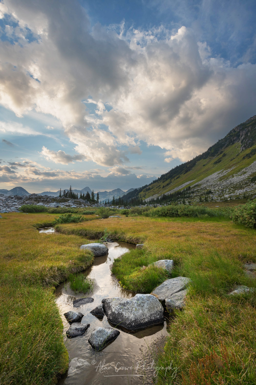 Dramatic clouds over alpine meadows below Mount Rohr. Coast Range, British Columbia #87155