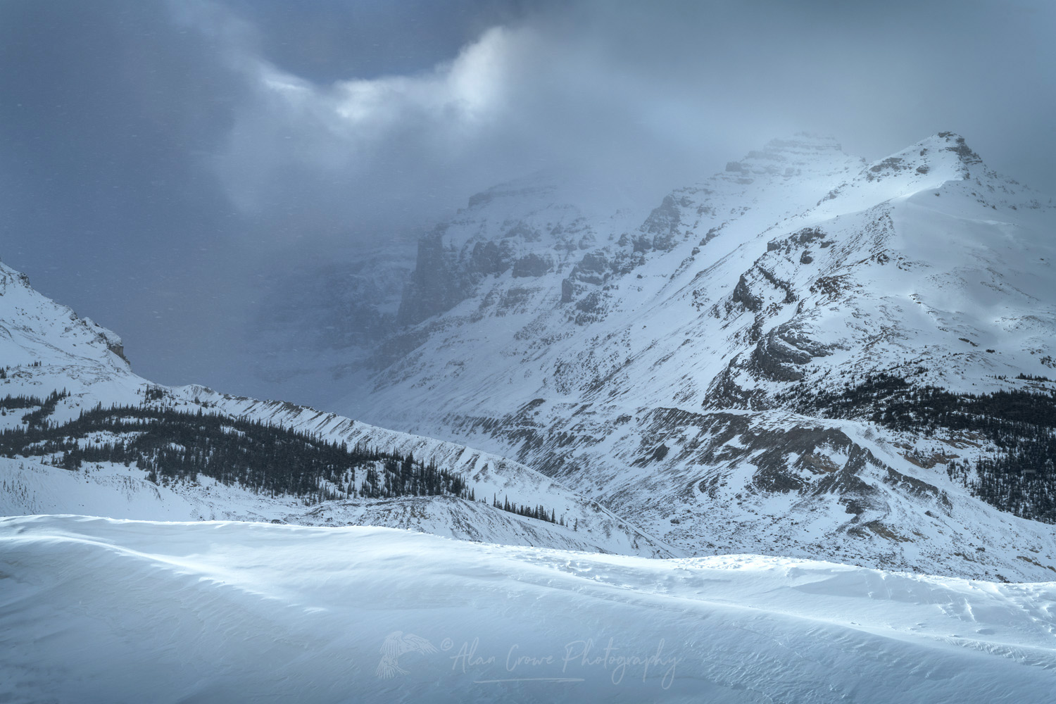 Columbia Icefields in winter Jasper National Park Alberta Canada #82265b