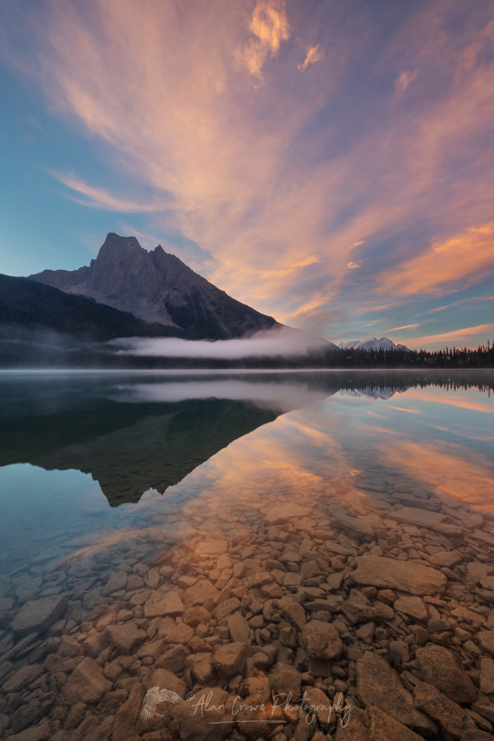 Alpenglow and Mount Burgess reflected in the still waters of Emerald Lake in the Canadian Rockies. Yoho National Park, British Columbia, Canada #81757