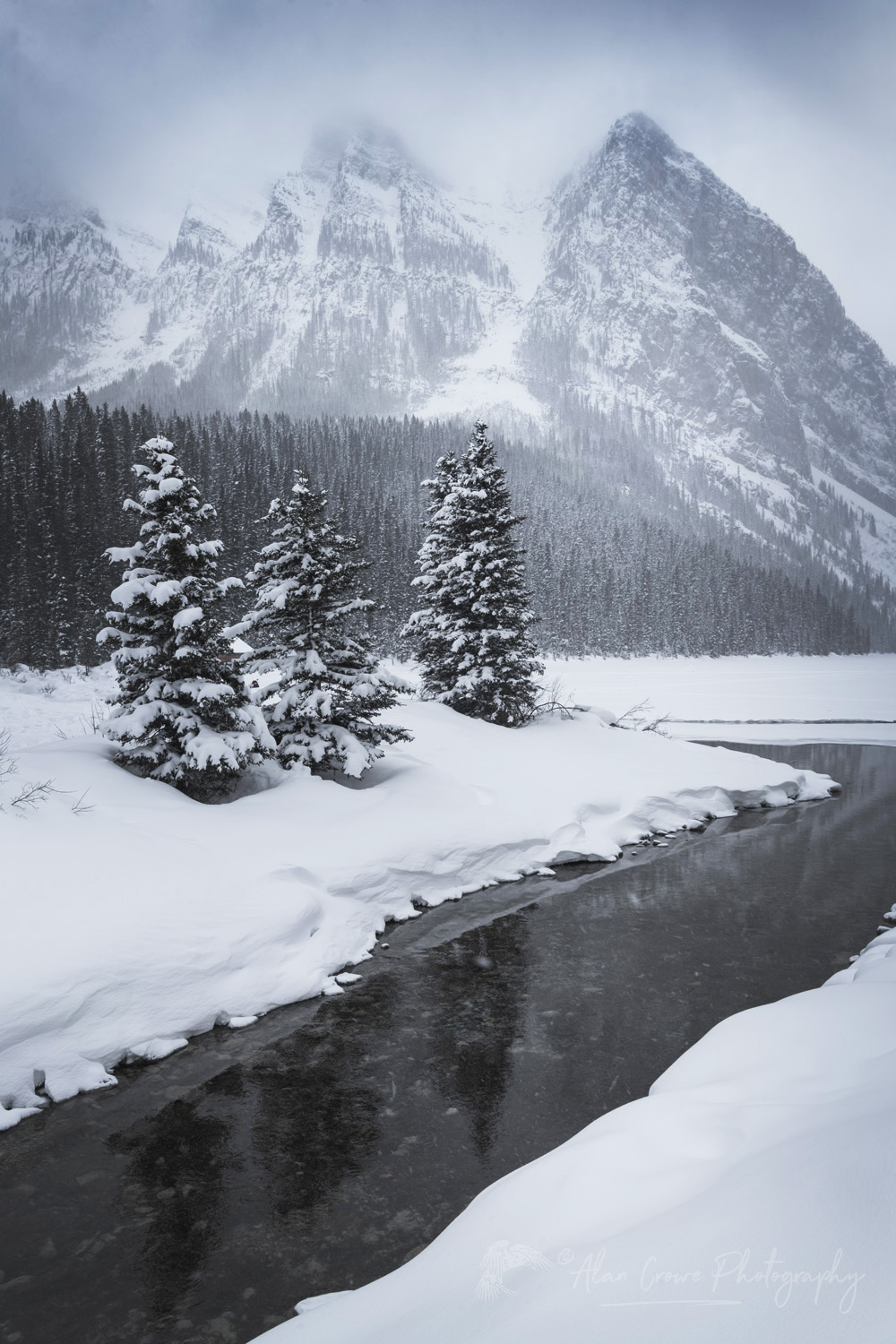 Winter storm at Lake Louise Banff National Park Alberta Canada #82417