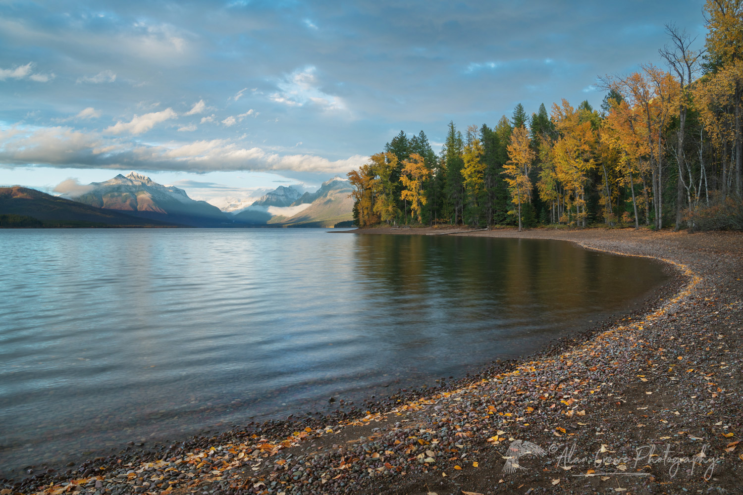 Autumn foliage along Lake McDonald. Glacier National Park, Montana #85400