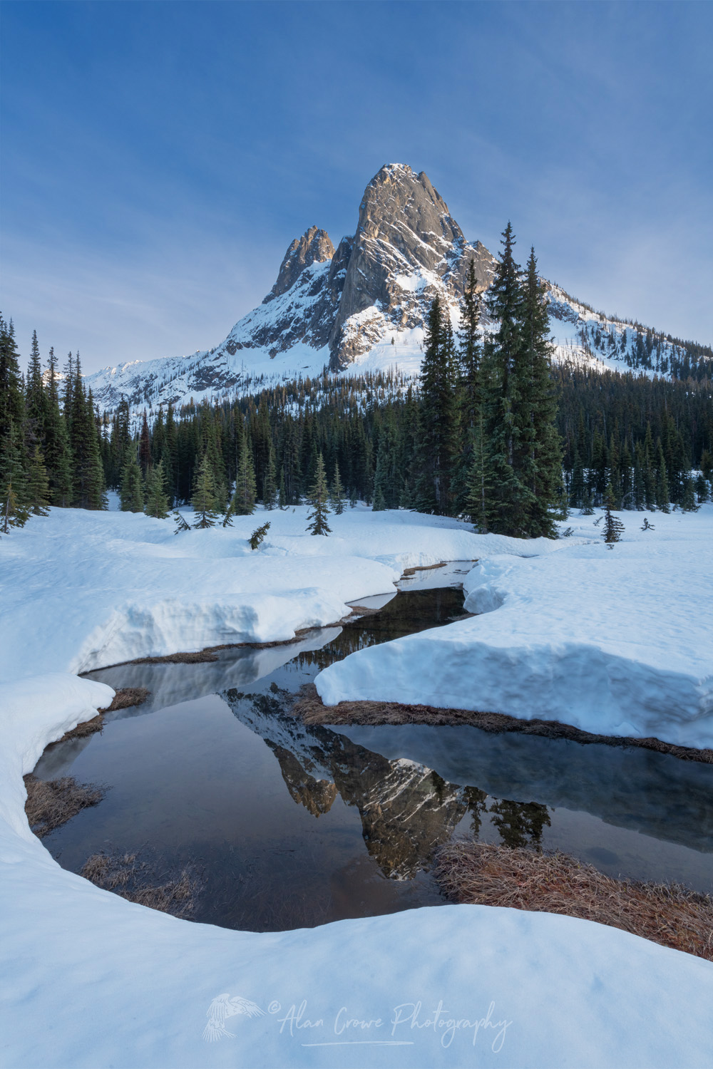 Liberty Bell Mountain seen from snow covered meadows of Washington Pass. North Cascades Washington #85812