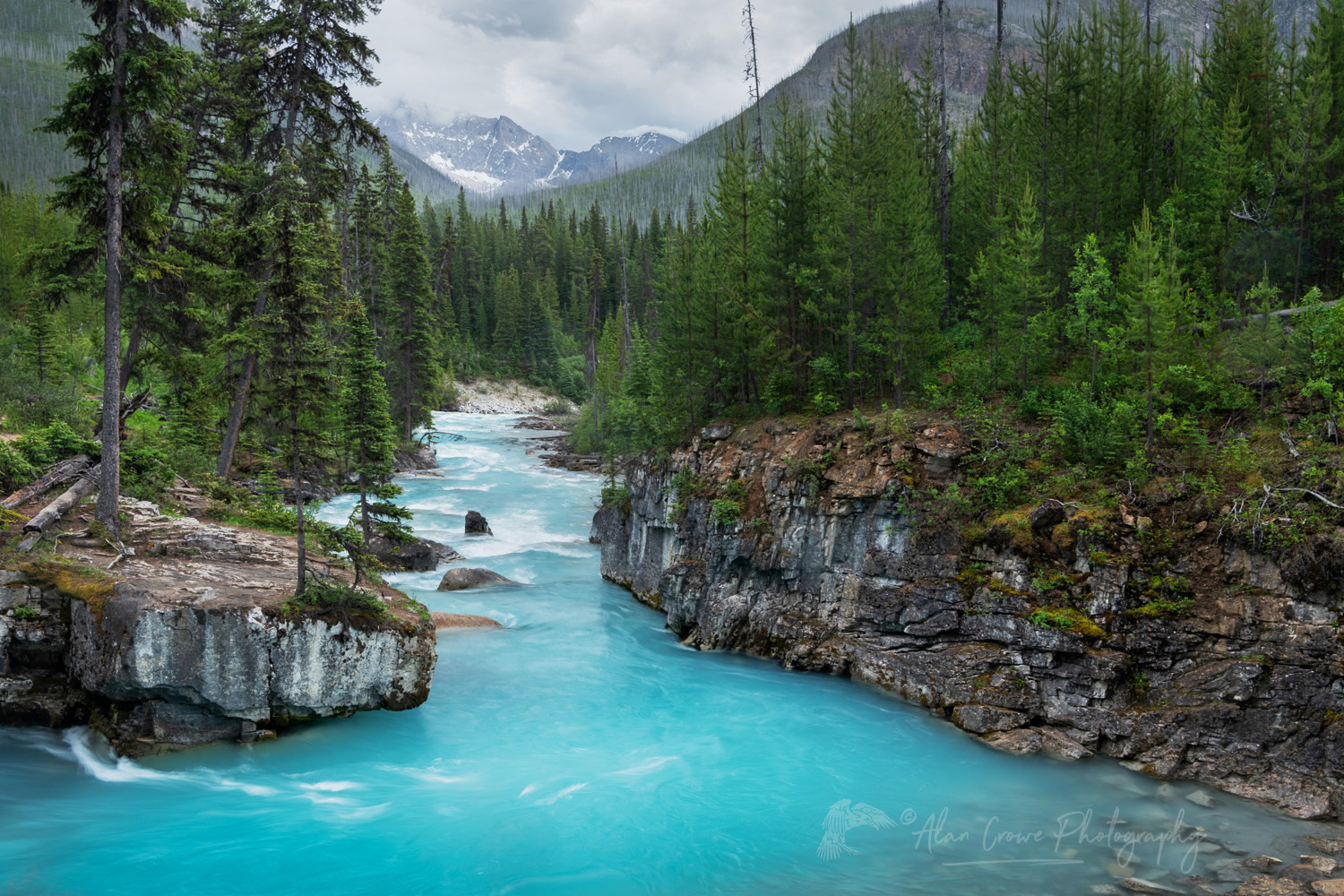 Vermillion River at the exit of Marble Canyon. Kootenay National Park, British Columbia #86335