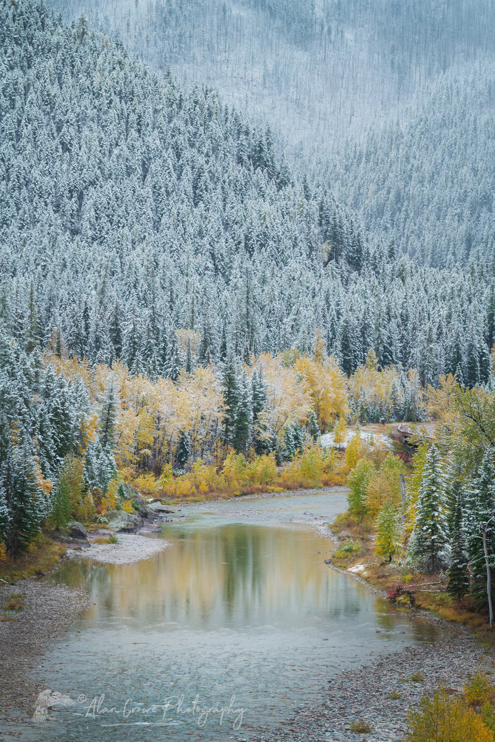 Autumn snow along the Middle Fork Flathead River. Glacier National Park, Montana #87667